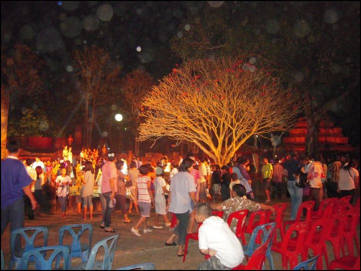 new2011 (82)